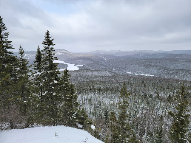 Point de vue à partir du mont Brassard