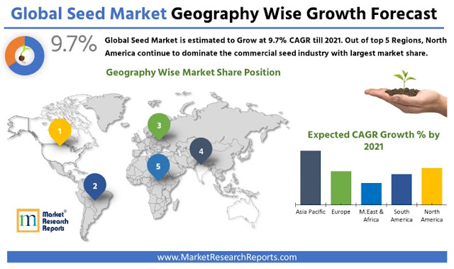 Global Seed Market Research Report 2021