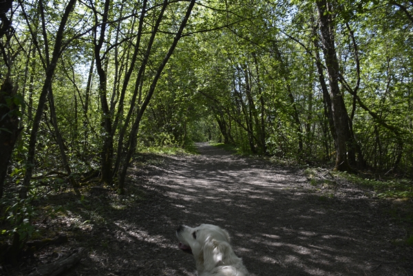 ravinedalen gardermoen stolpejakt