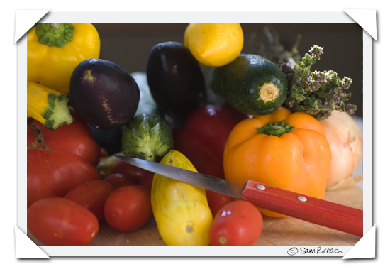 picture photograph ratatouille ingredients 2007 copyright of sam breach http://becksposhnosh.blogspot.com/