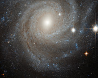 Spiral Galaxy NGC 3344