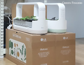 Tiium Mini beige and mint models unboxed side by side