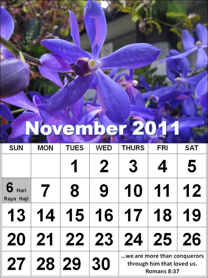 november 2011 calendar with holidays. 2011 November Calendar