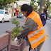 Durante el feriado la Municipalidad realizó mantenimiento de la platabanda de Av. Belgrano