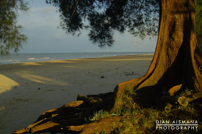 Pantai Rupat Bengkalis Pesona Tanjung Lapin