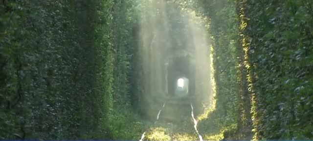 10 AMAZING PLACES AROUND THE WORLD 3. Tunnel of Love, Ukraine