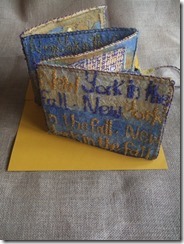 ny in fall concertina