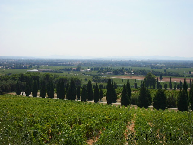 Chateauneuf Du Pape panorama