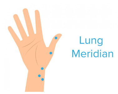 Lung meridian: