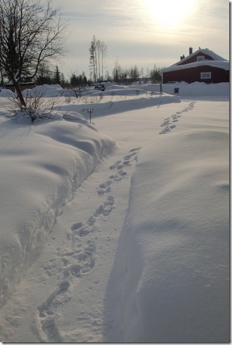 Januari-Februari 2012 194
