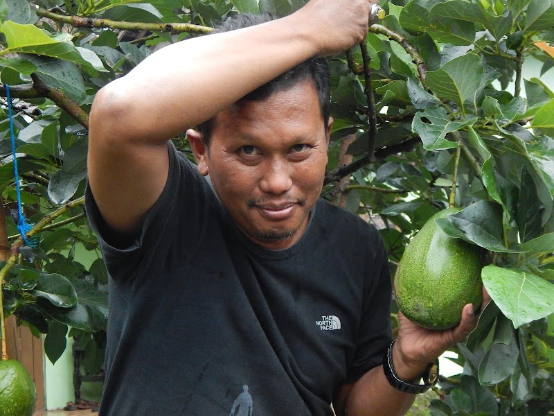 JALAN MENJADI KAYA