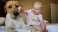 babies funny videos laughing, babies funny videos youtube, babies laughing funny videos, babies smile video, babies videos funny,