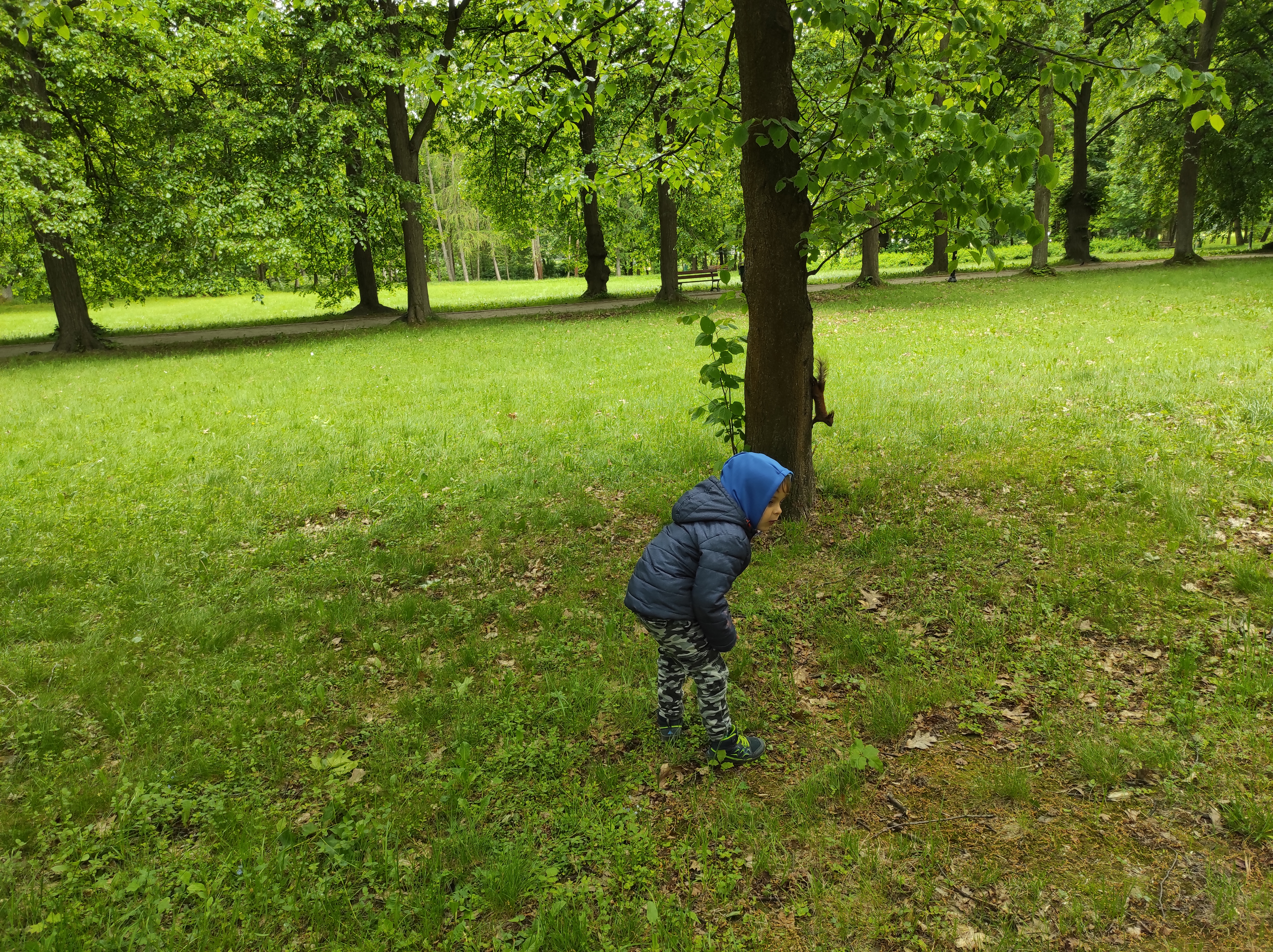 park Norweski Cieplice