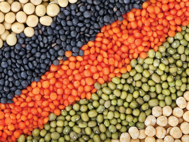 Lentils