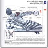 elevaciones-laterales-acostado-de-lado