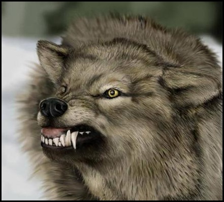 arg varg