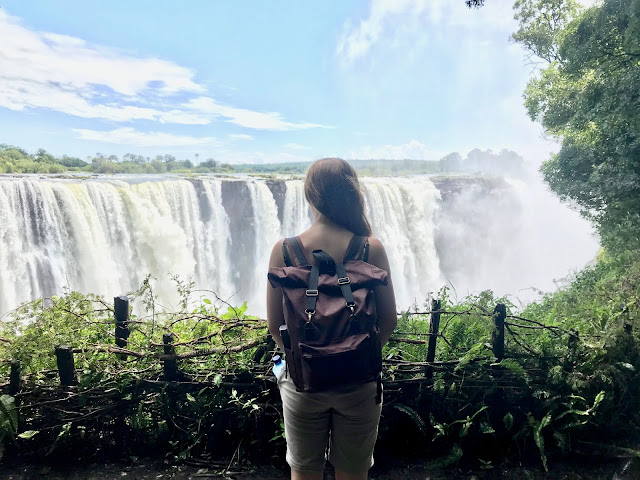 Diary of a Chain Stitcher: Taylor Tailor Desmond Backpack in Waxed Cotton from Cloth House