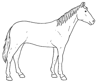 Desenhos Para Colorir Cavalos bonitos e treinados do sitio