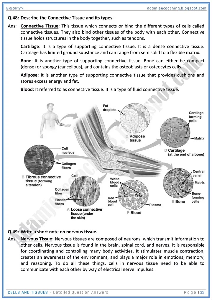 cells-and-tissues-detailed-question-answers-biology-9th