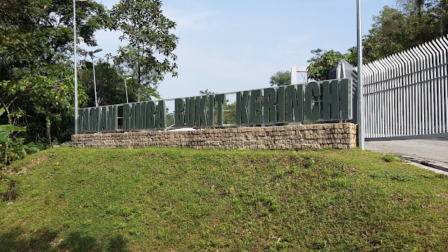 Taman Rimba Bukit Kerinchi