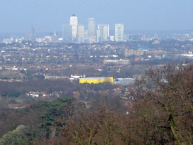 Canary Wharf from Addington Hills