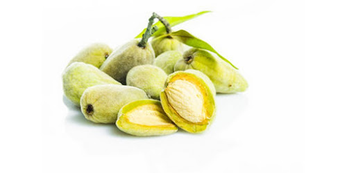 KACANG ALMOND LAMPUNGTabanan