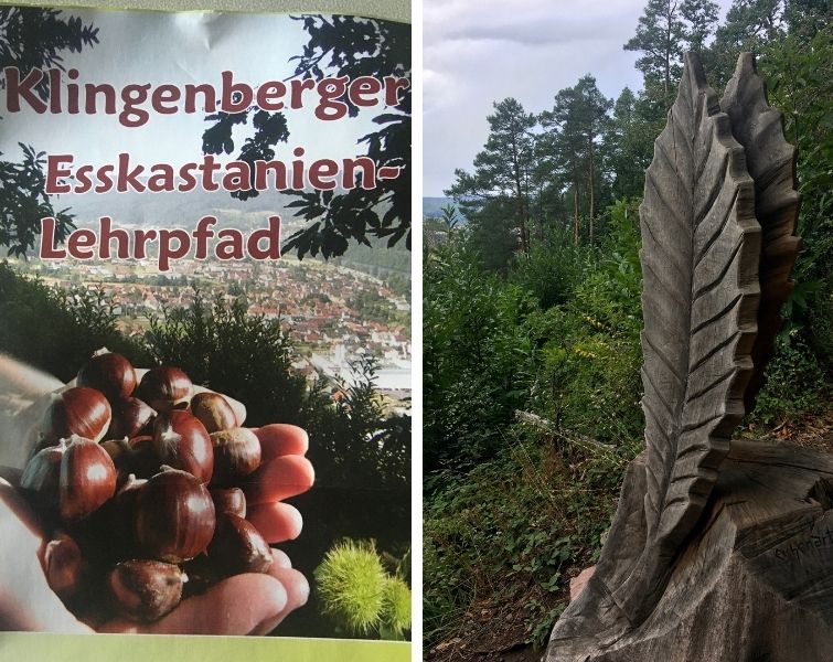 Esskastanien Lehrpfad und Kunstobjekte aus Holz