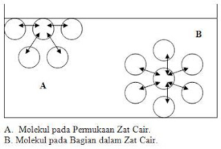 Tegangan Permukaan