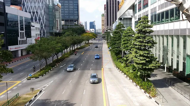 新加坡余東璇街