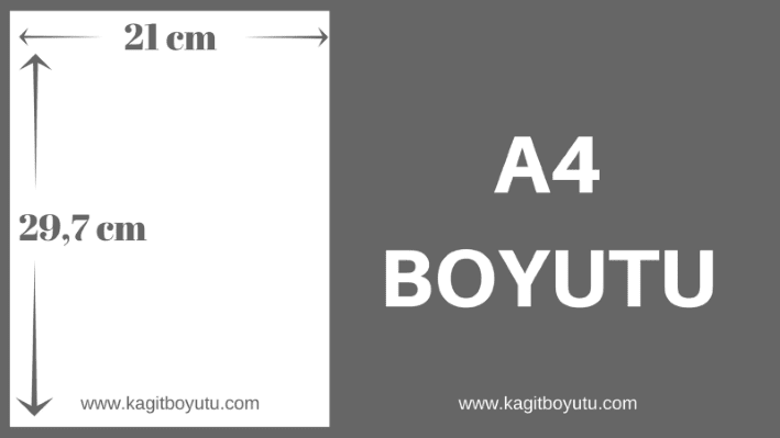 A4 Boyutu