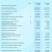 NSE #15: The Cash Flow Statement and Notes