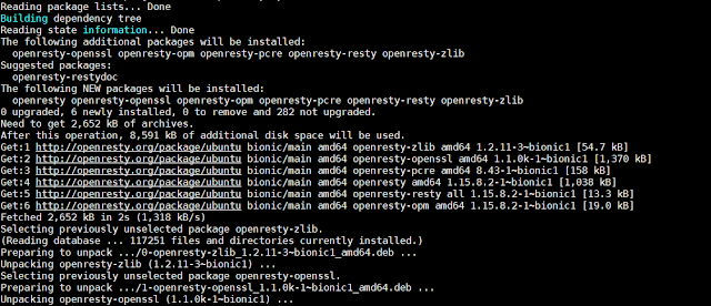 Install Openresty