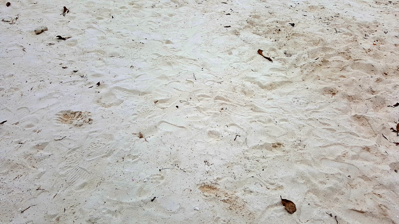 fine white sand at Quinale Beach of Anda, Bohol