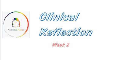Nursing clinical reflection