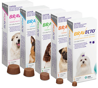 A photo of the various pack sizes of Bravecto Chew for Dogs