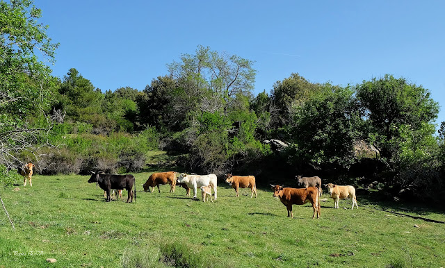 Jérez del Marquesado, Cortijo Rosetas