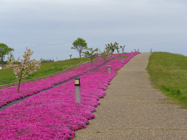 東郷湖羽合臨海公園