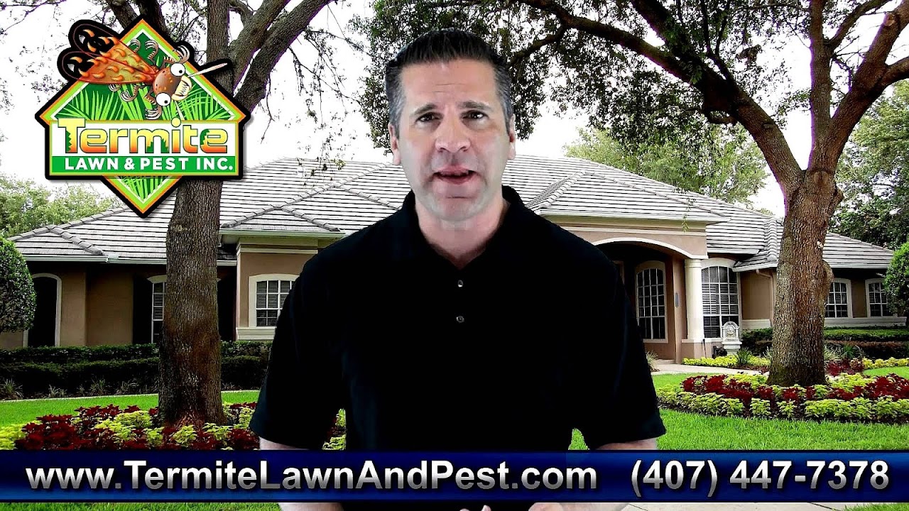 Eco Friendly Pest Control Orlando