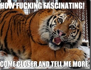 tigerblood
