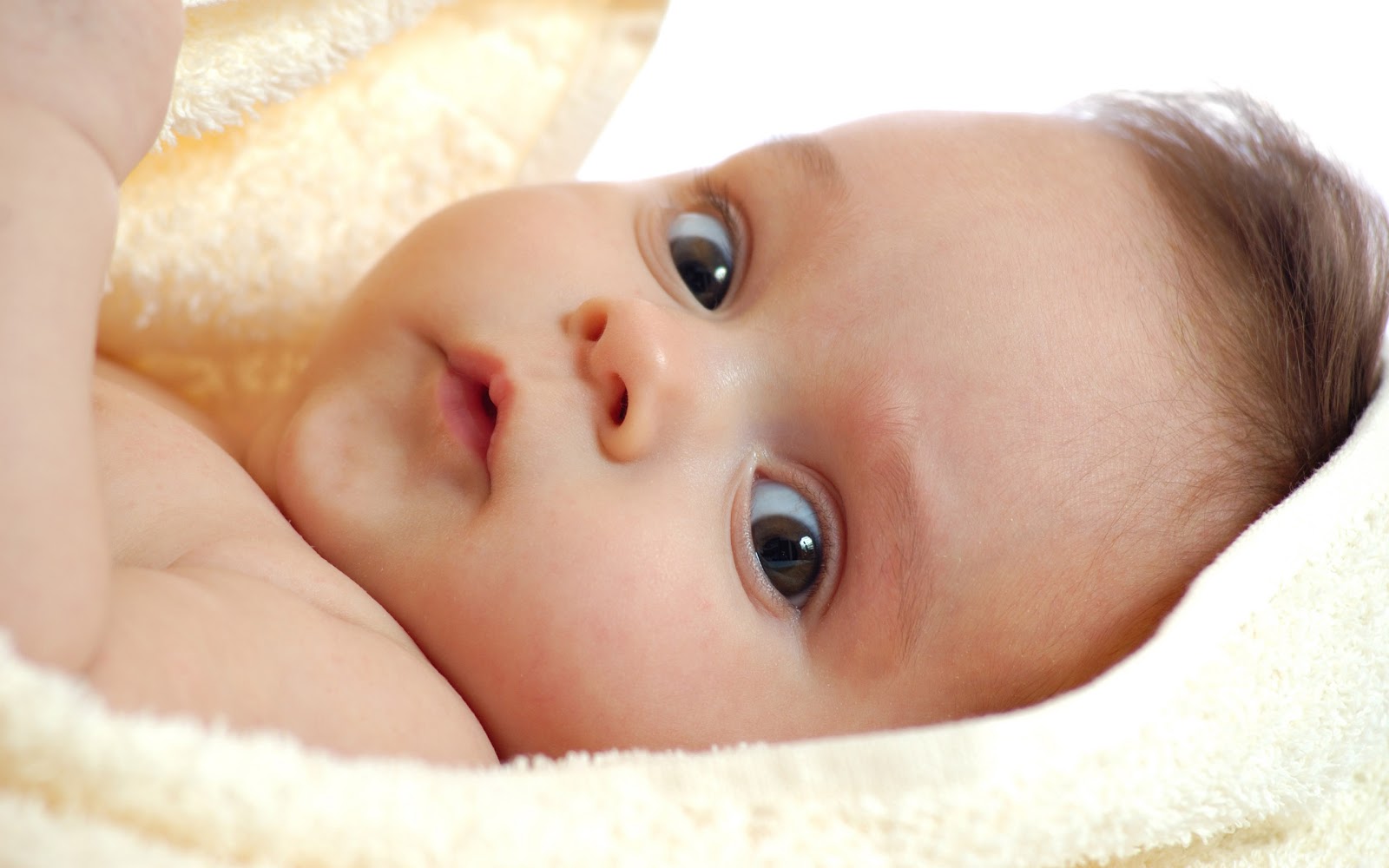 Gambar Bayi-Bayi Lucu dan Imut