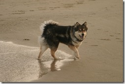 IMG_3374 copy