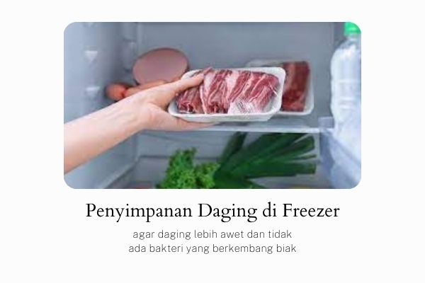 penyimpanan-daging