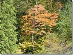 DSCN1174