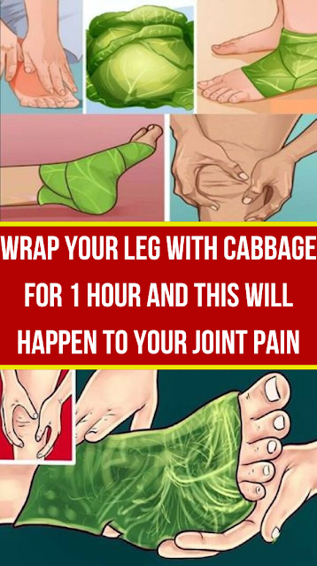 Wrap Your Leg With Cabbage For 1 Hour And This Will Happen To Your Joint Pain