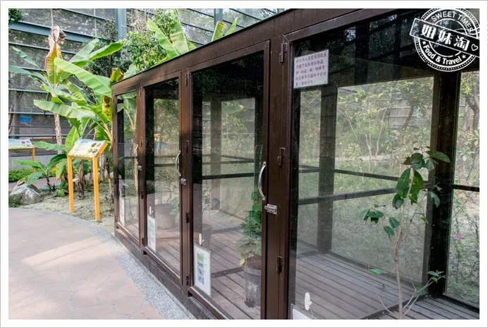 金獅湖蝴蝶園
