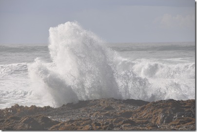 South Beach State Park, OR 129