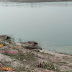 Ghazipur: गंगा नदी फिर दिखी 15 लाशें, 8 का हुआ अंतिम संस्कार, 7 धारा में बह गई