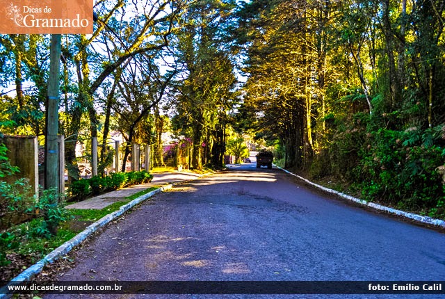 Rua do Lago: Placidez, tranquilidade e árvores. Você só descobre essas belezas andando a pé.