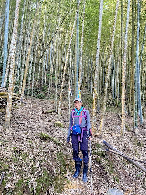 回抵過坑山南峰登山口