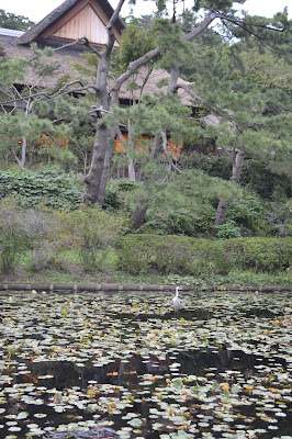 Sankeien Garden, Yokohama  - www.curiousadventurer.blogspot.com